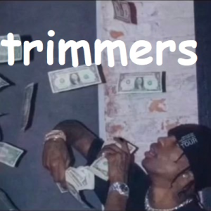Trimmersjpg — OCE Fortnite Tier List (with names) option 115