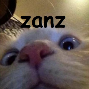 Zanzjpg — OCE Fortnite Tier List (with names) option 127