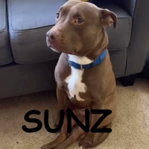 Zz1613451145sunzjpg — OCE Fortnite Tier List (with names) option 132