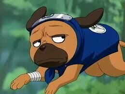 39jpg — OG Naruto - Best Characters option 32
