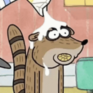 Rigbyracoongif — okbr members (active) option 33