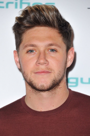 2b6c0b641120359d05d7814647d537f3jpg — One direction hairstyles option 18