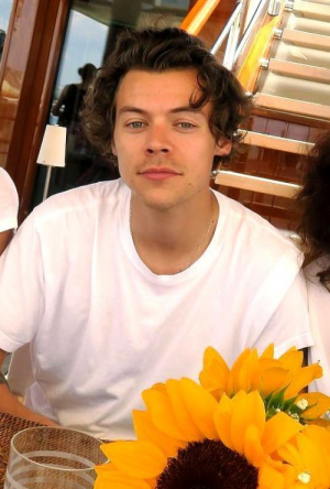 438450619c64054d900a1e61db686212jpg — One direction hairstyles option 29