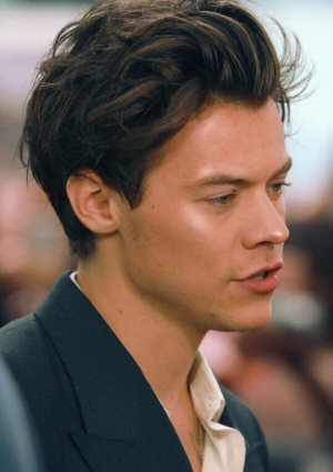 D976e360aaa1c627a089b03d331c0af5jpg — One direction hairstyles option 63