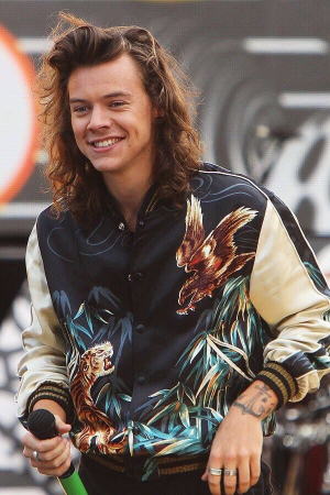 D977cbc35813290aeefe3092cf158f9djpg — One direction hairstyles option 64