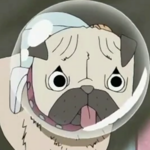 Zz1651088397sarupng — One Piece - All Characters option 661