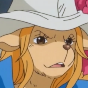 Zz1651088474wandapng — One Piece - All Characters option 776