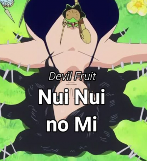 Nui Nui no Mi, One Piece Wiki