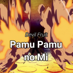 Pamu Pamu no Mi Devil Fruit in One Piece