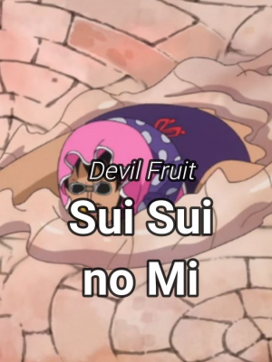 Nui Nui no Mi, One Piece Wiki