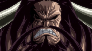 800px Kaidoprofil 758x426jpg — One Piece : Personnages option 12