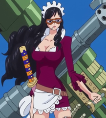 Baby 5png — One Piece 100+ Character Tier List (Up to Episode 965) option 7