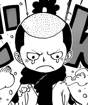 Zz15619280357jpg — One Piece 600+ Characters (Manga) option 372