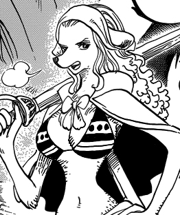 Zz15619296796jpg — One Piece 600+ Characters (Manga) option 449
