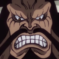 Zz1585171601kaidoportraitpng — One Piece (All characters) option 9