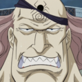 Zz1587651731squardportraitpng — One Piece (All characters) option 199