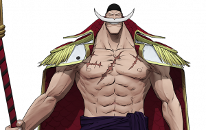 Zz1610359121png — One Piece: Burning Will SSR option 4