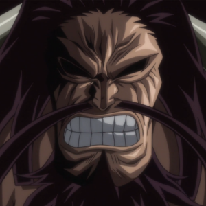 Kaidopng — One Piece captains option 26