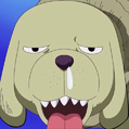 006 Warlord 30christmas2png — One Piece Characters 2021 (389 Characters) option 176