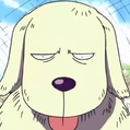 013 Skypeia 16holypng — One Piece Characters 2021 (389 Characters) option 338