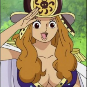 Aphelandrajpg — One Piece Characters option 11