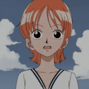 Nami Prejpg — One Piece Characters option 220