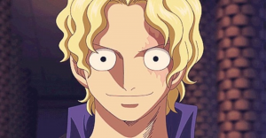 Sabojpeg — One Piece Characters option 258