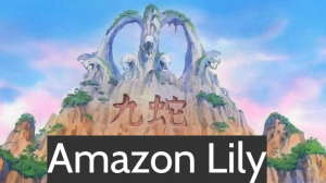 Amazon Lilyjpg — One Piece Pre-Timeskip Arcs Tier List option 2
