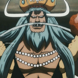 6858ea30bea17e4587c94524e70c2e3ejpg — one piece option 41