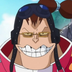 6f30a24f9b96de1a63cfff1e73f8f6bfjpg — one piece option 44