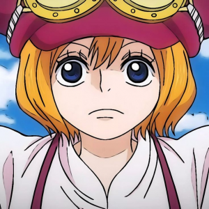 Zzzzz 16869858476124155f7a5520253ad2876f411ff878 — one piece option 121