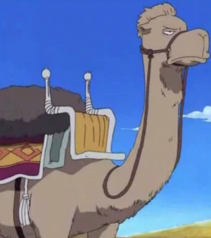 Pestaaspng — One piece till Arabasta option 13