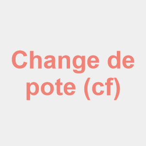 Cf 1 11png — Orelsan all songs option 86