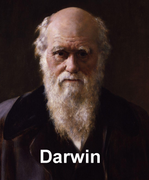 Darwinjpg — Os maiores gênios da humanidade option 5