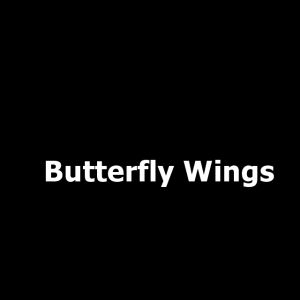 31jpg — Owl City songs option 24