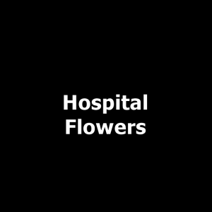 44jpg — Owl City songs option 38