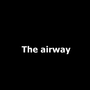5jpg — Owl City songs option 55