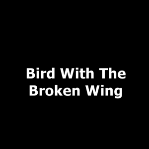 75jpg — Owl City songs option 72