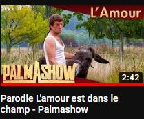 215jpg — Palmashow option 123