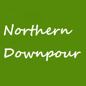 Northern Downpourpng — panic! at the disco songs option 54
