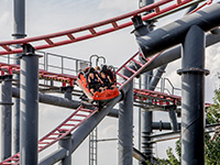 Tarntulajpg — Parque de atracciones de Madrid option 21
