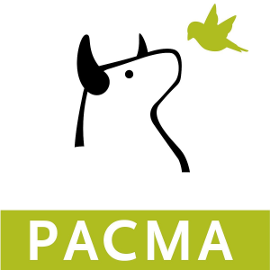 Ab450332 75dc 4421 8b6a 8548314b5c1cjpeg — Partidos politicos España 2020 🇪🇸 option 11