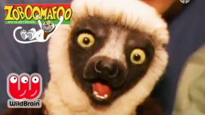 C374e04f 89ae 4ae5 Bd9d 3b21e82b2018jpeg — PBS kids shows option 18