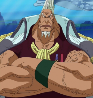 18f88391a1dec91b44fce39b39aa00c3jpg — Personagens mais fortes do anime One Piece option 15