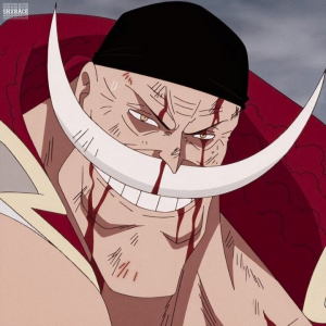 B8fe13b0d85228def896bbbf2c48f7dcjpg — Personagens mais fortes do anime One Piece option 76