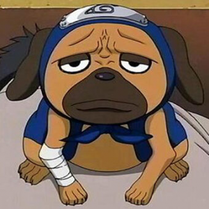 Pakkunjpg — PERSONAJES DE NARUTO option 145