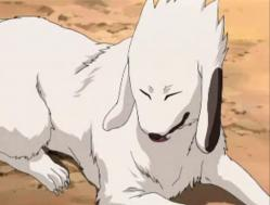 4524277249pxjpg — personajes de naruto y naruto shippuden option 2