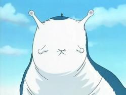 4524346249pxjpg — personajes de naruto y naruto shippuden option 55