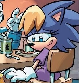 0be4fd77 53b7 4e40 8a65 C098794b0a16jpg — Personajes de Sonic - rankealos a tu gusto capo option 4