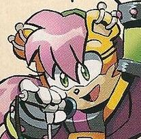 1ac1d930 3b7a 45a5 9eba 06511bcadb34jpg — Personajes de Sonic - rankealos a tu gusto capo option 8
